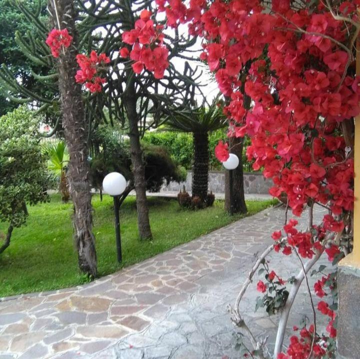 Bed and Breakfast Ospitalita Il Noce Brusciano Экстерьер фото